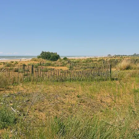 Live The Color In Bibiones Heart *