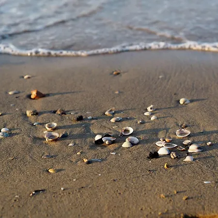 Live The Color In Bibiones Heart 아파트