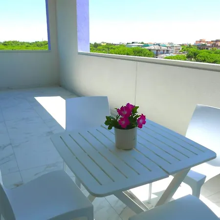 Live The Color In Bibiones Heart 비비오네