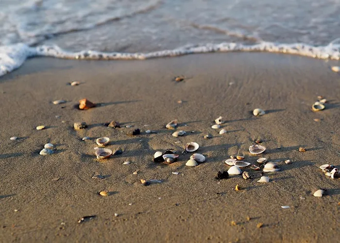 Live The Color In Bibiones Heart Lägenhet